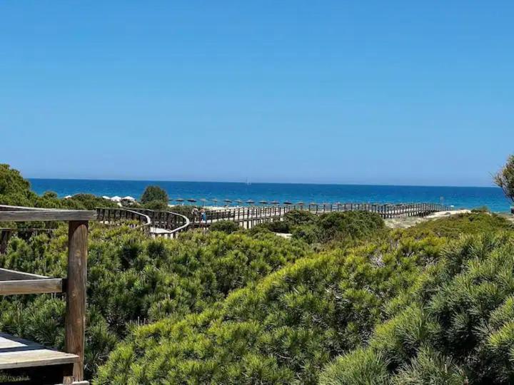 Casa Canarias En Alicante, Playa Y Piscina Gran Alacant Exteriér fotografie